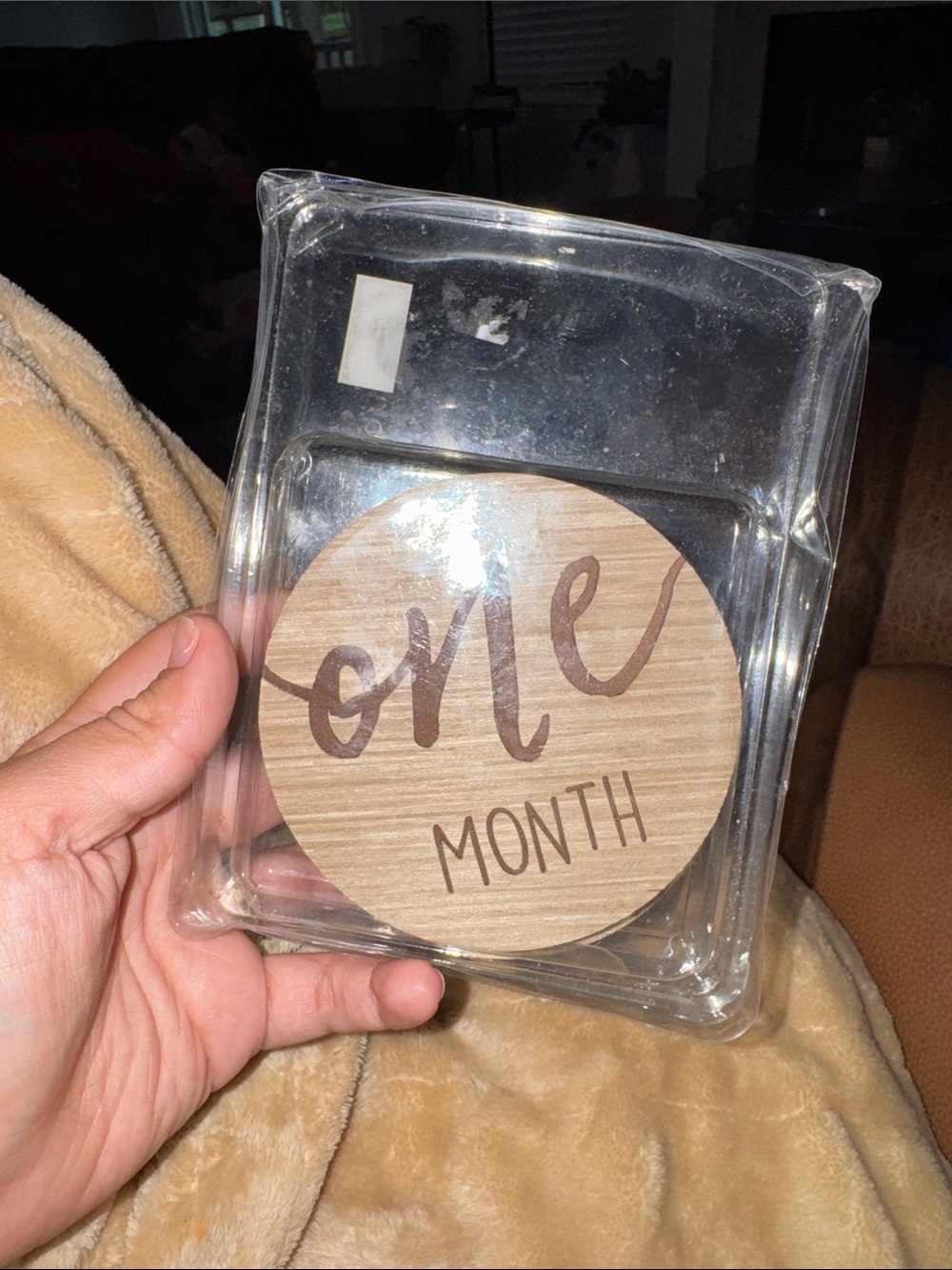 Wooden Month Milestone Plaques- Neutral Brown